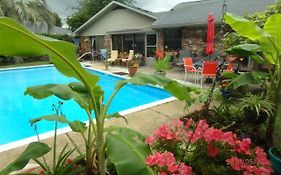 Poolside Paradise